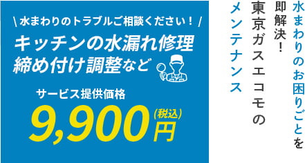 東京ガスエコモのメンテナンス