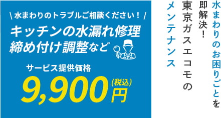 東京ガスエコモのメンテナンス