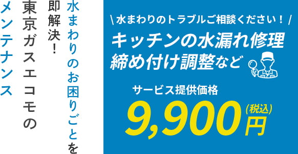 東京ガスエコモのメンテナンス